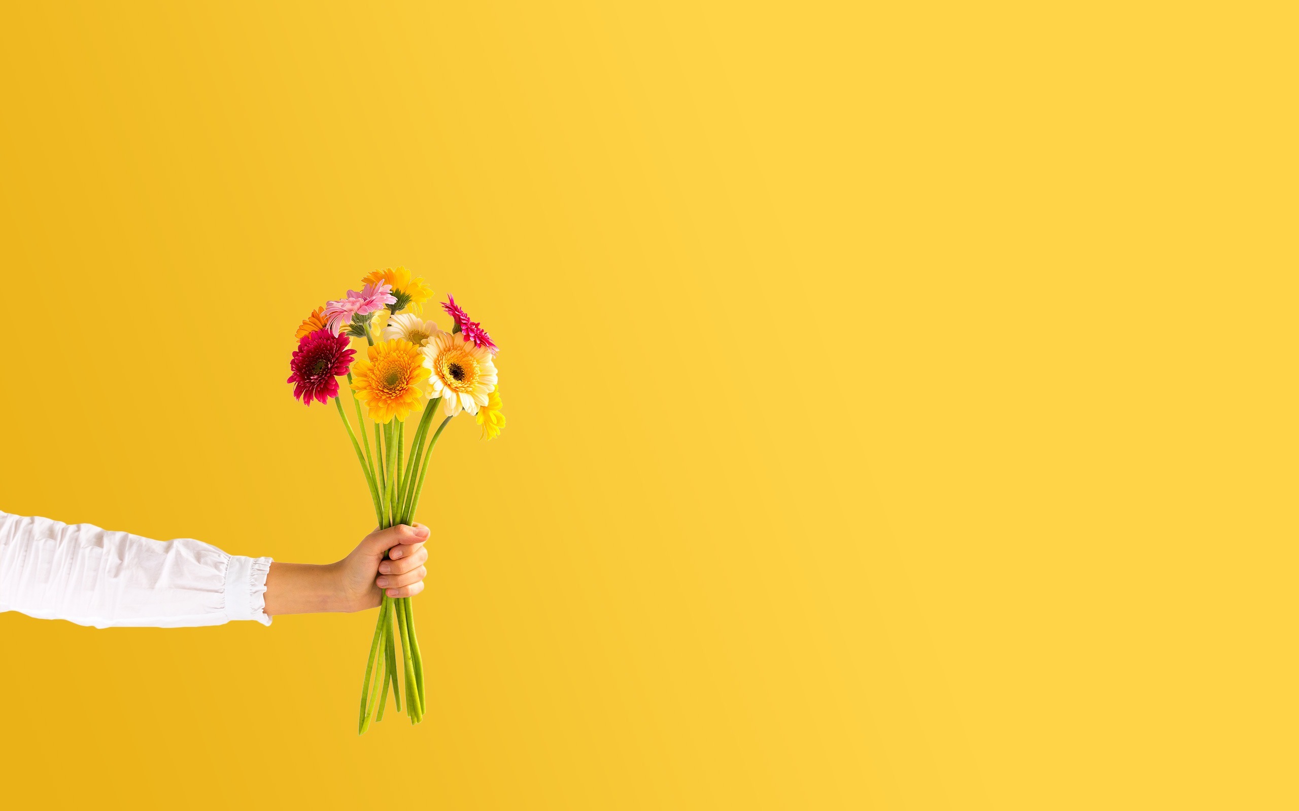 Bloemen, geel