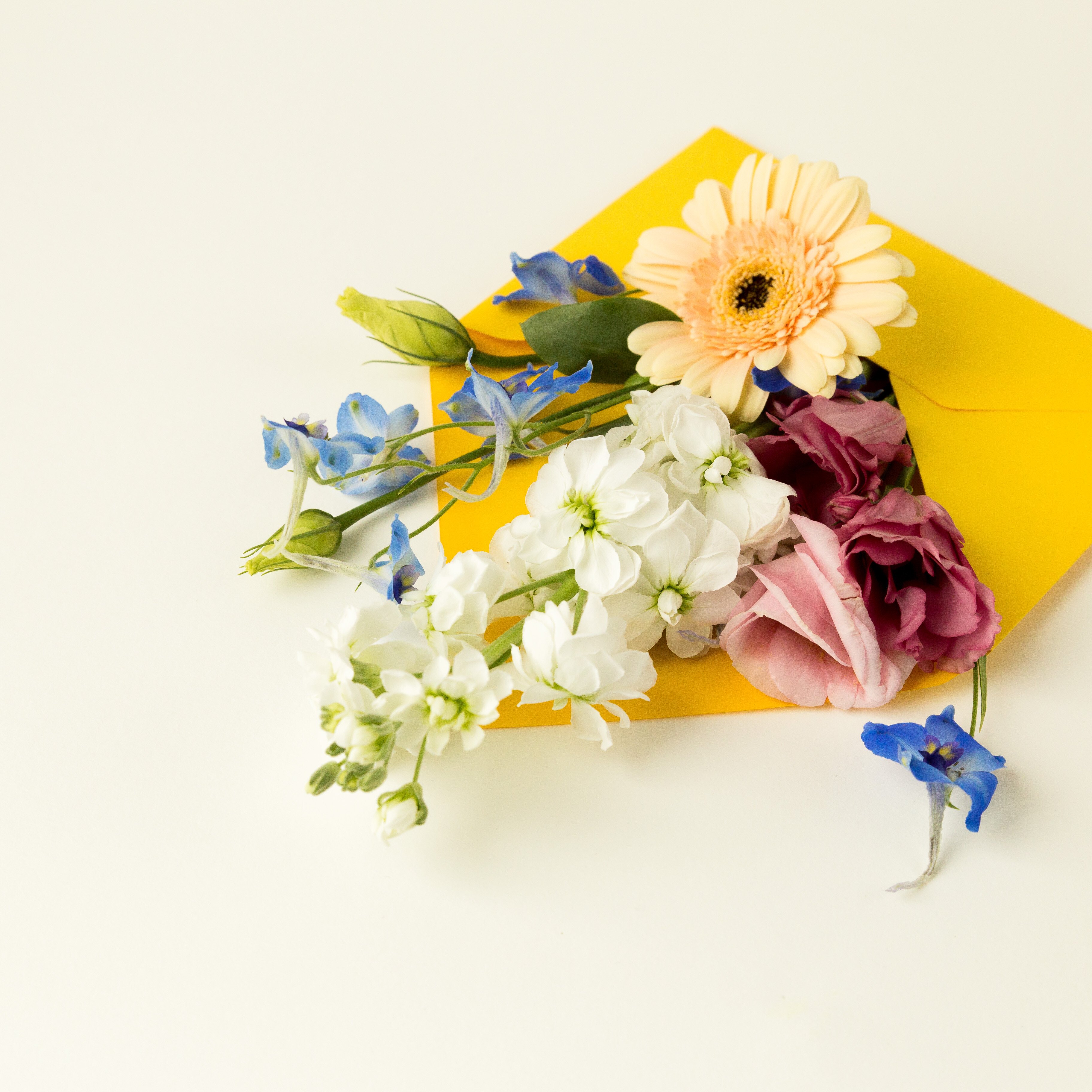 Bloemenenvelop (2)