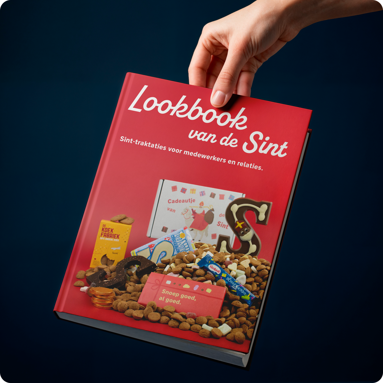 Sinterklaaslookbook